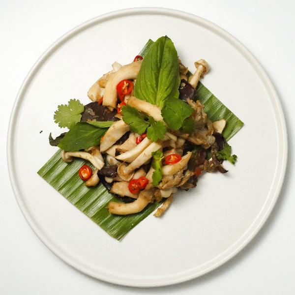 dish-photo